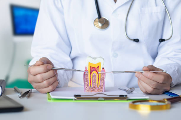 Best Cracked Tooth Emergency Dentist  in Stevensville, MT